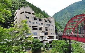 大歩危峡まんなか